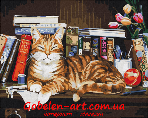 Кот на книжной полке - картина по номерам BRUSHME фото — Магазин Gobelen Art