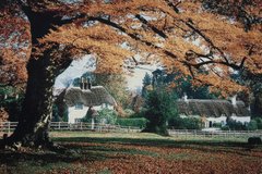 Гобелен Осень в Англии 90х60 фото — Магазин Gobelen Art