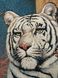 Гобелен Амазонка з білим тигром 100х50, 100х50
