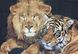 Гобелен Лев і тигр 105х72, 105х72