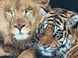 Гобелен Лев і тигр 105х72, 105х72