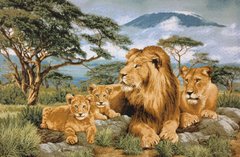 Гобелен Африканские львы 100х70 фото — Магазин Gobelen Art