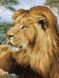 Гобелен Африканські леви 100х70