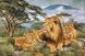 Гобелен Африканські леви 100х70