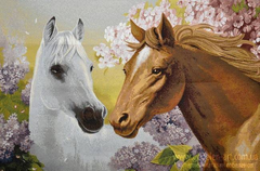Гобелен Пара лошадей 70х50 фото — Магазин Gobelen Art